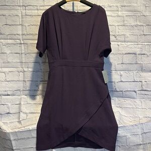 Elegant Purple Women's Dress
